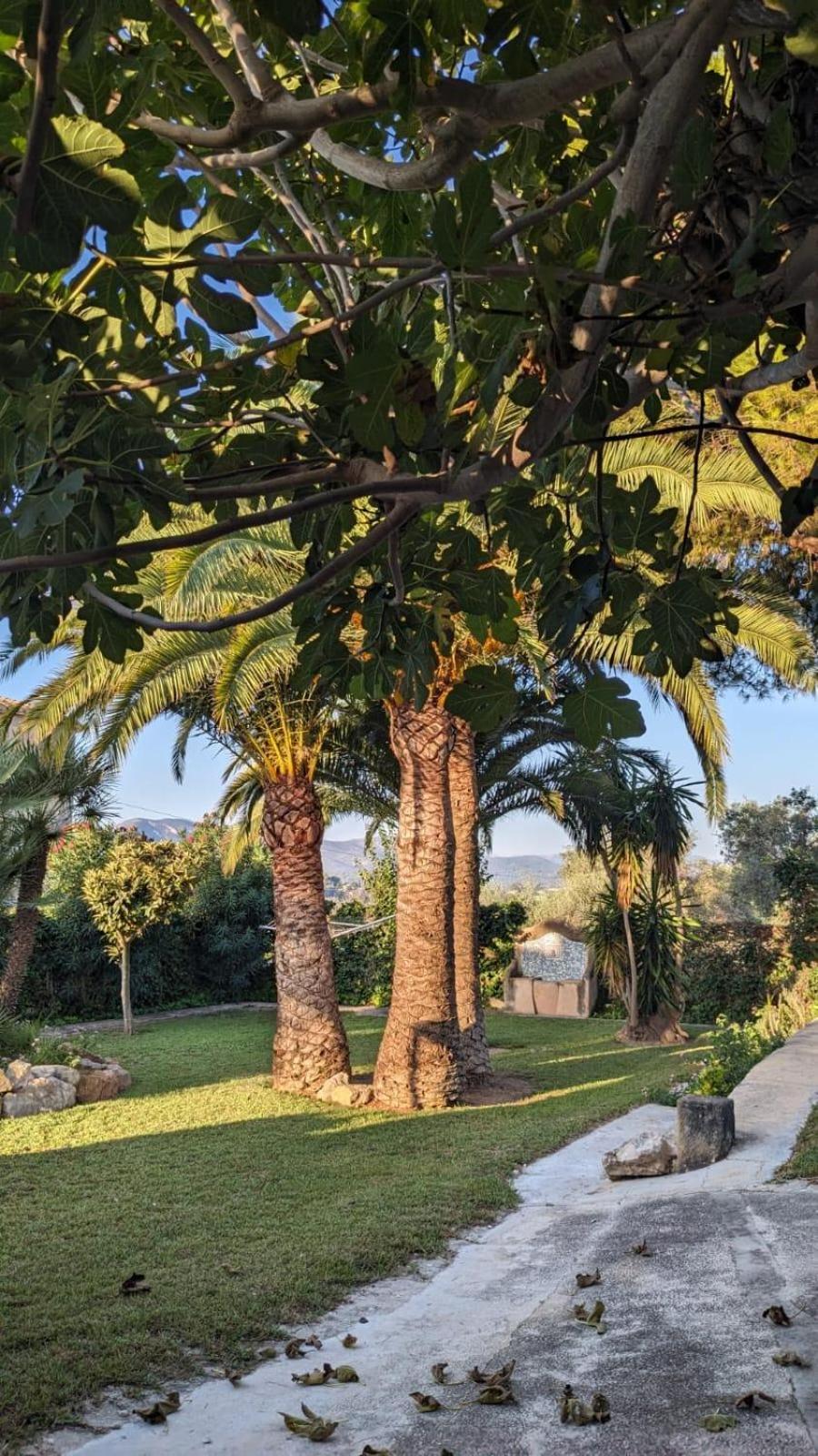 Vila Ca Tosca Jávea Exteriér fotografie